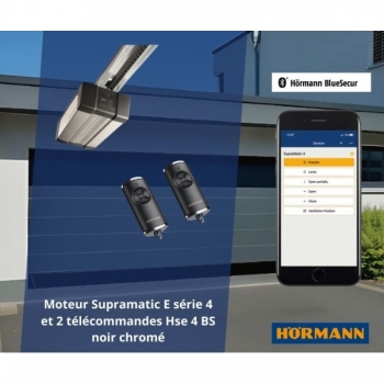 Hormann-Porte de garage-à portillon-sur mesure-Renomatic